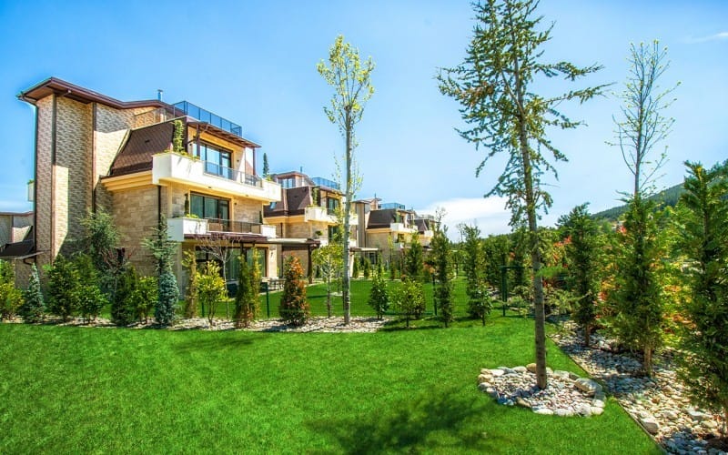 Maxi Sequoia – the Secret Eden of the Growing City