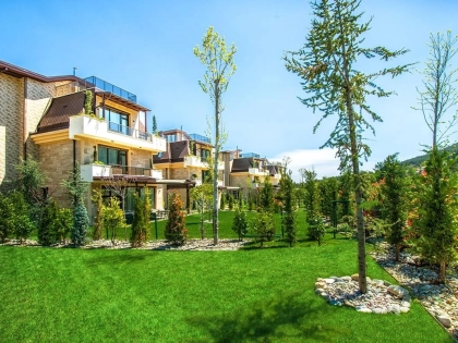 Maxi Sequoia – the Secret Eden of the Growing City