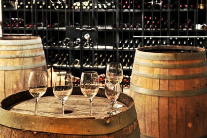 Wine Store - Casavino